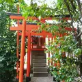 堀越神社(大阪)の写真_8215