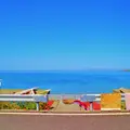礼文島の写真_8933