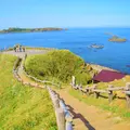 礼文島の写真_8935