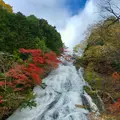 湯滝の写真_1005817