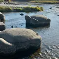 鴨川デルタの飛び石の写真_1022315