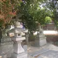 淡路神社の写真_1033320