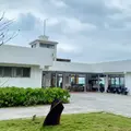 米詩堤極北藍点の写真_1037033