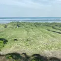 老梅緑石槽の写真_1037089