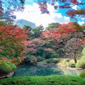 東京都庭園美術館の写真_1051415