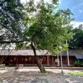 和平青草園の写真_1057428