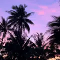 Hagania Bay（ハガニア湾）の写真_1104048