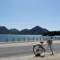 大久野島 サイクリングロードの写真_111200