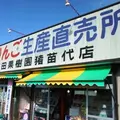 吉田果樹園猪苗代店の写真_112092