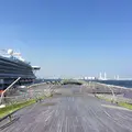 横浜港大さん橋国際客船ターミナル（大さん橋）の写真_112223