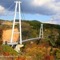 九重“夢”大吊橋の写真_112612