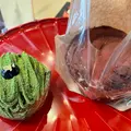 のり蔵の写真_1133459