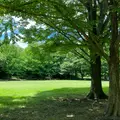 大平公園の写真_1142213
