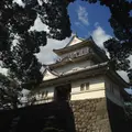 小田原城の写真_114866