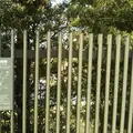 名勝旧大乗院庭園の写真_1156434