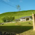 次は若草山方面に向かいますの写真_115791