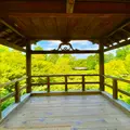 東福寺の写真_1163008