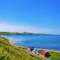 礼文島の写真_116819