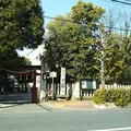 率川(いさがわ)神社の写真_1174550
