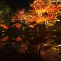 高台寺の写真_119243