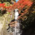 箕面滝の写真_119570