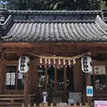 川越熊野神社の写真_1196901