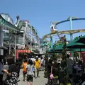 浅草花やしきの写真_119896