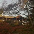 東福寺の写真_120263