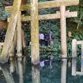 鹿島神宮の写真_1205855