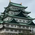 名古屋城の写真_1211248