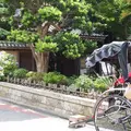 報国寺（竹寺）の写真_121394