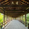 東福寺の写真_1216368