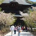 建長寺の写真_121869