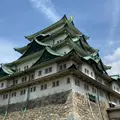 名古屋城の写真_1228317