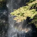 箕面大滝の写真_1233071
