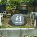 「刻」震災記念碑の写真_1233227