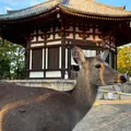興福寺 北円堂の写真_1241036