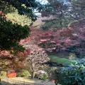 東京都庭園美術館の写真_1252439