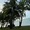 Hagania Bay（ハガニア湾）の写真_1295336