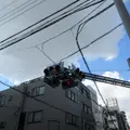 日本の写真_1297984