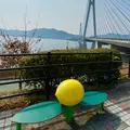 レモンのベンチ（多々羅大橋）の写真_1306484