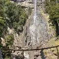那智の滝の写真_1315483