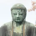 鎌倉大仏（高徳院）の写真_1322968