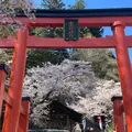 金桜神社の写真_1328636