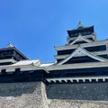 熊本城の写真_1359985