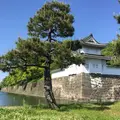 元離宮 二条城の写真_137654