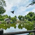 鍋島松濤公園の写真_1386516
