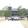 法隆寺の写真_149899