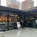 HARIO CAFE 泉屋博古館東京店の写真_1528332