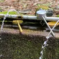 横嶺山薬師堂の写真_1549690